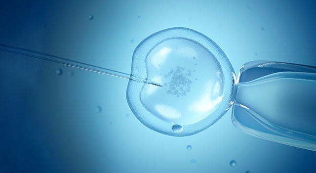 in vitro fertilization